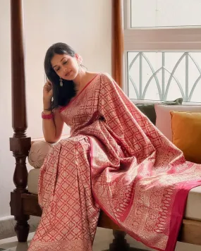 Incredible Dark Pink Soft Silk Saree With Gossamer Blouse Piece